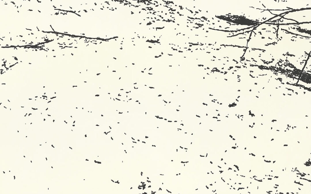 Das alte Waldschloss