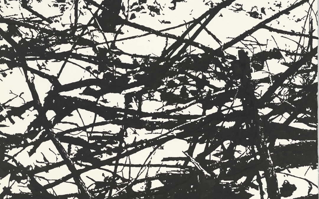 Der Halterbub und die drei Riesen