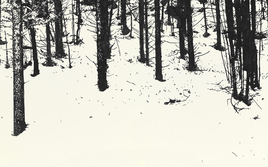 Die verwunschene Katze