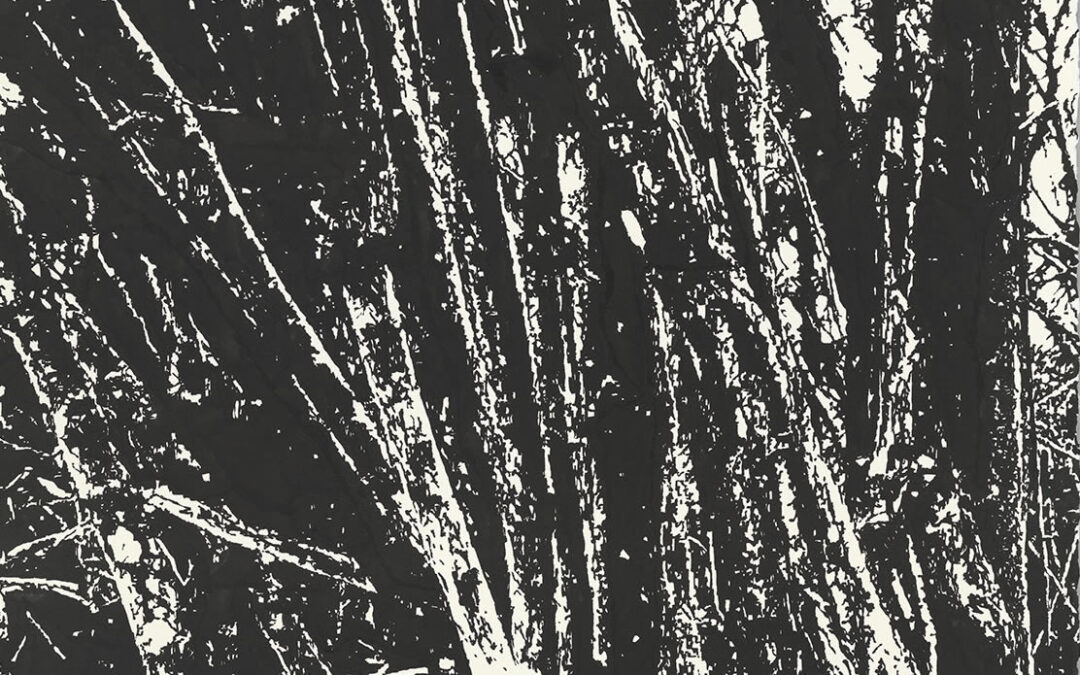 Vom Milchsechter, Spinnrocken und Eggenzahn